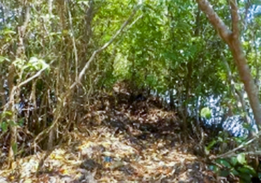 TANAH DI KAB. BULUKUMBA - WOFF793-2 - foto 3